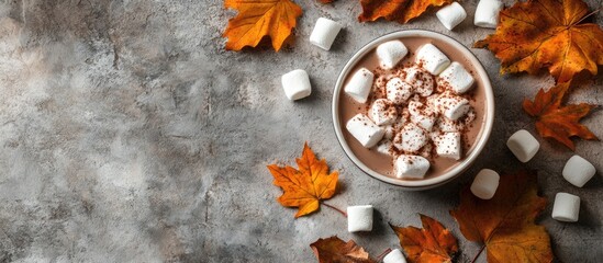 Aufkleber - Hot chocolate with marshmallows and autumn leaves on a stone or concrete background Top view flat lay copyspace