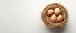 © vxnaghiyev - Eggs in a circular container with hay on a white background Concept of Easter composition spring holiday nutritious food Copyspace top view flat lay