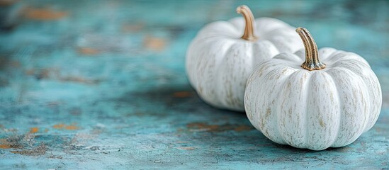 Fototapete - Front view of two small white mini fall pumpkins on a rustic blue green table for autumn Selective focus with a blurred foreground and background. with copy space image