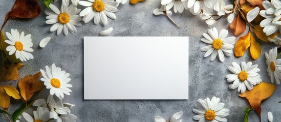 Aufkleber - Invitation or greeting card mockup featuring blank paper letterhead and white daisy flowers on a concrete surface. with copy space image. Place for adding text or design