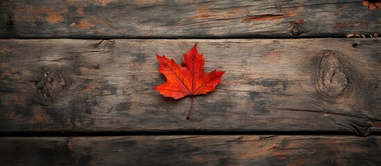 Wall Mural - maple leaf on aged wooden plank. with copy space image. Place for adding text or design