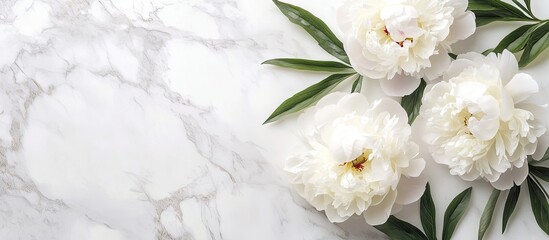 Aufkleber - Lovely blooming white peony flowers on a marble background with copyspace in a minimal style square template suitable for a postcard text or your design Concept for wedding invitations and celebrat