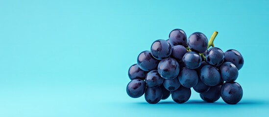 Leinwandbilder - a handful of ripe grapes against a blue background copyspace