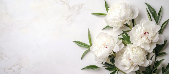 Wall Mural - A lovely arrangement of white Chinese peonies on a light background Card design space for text copyspace