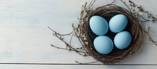 Poster - Blue Easter eggs placed in a vine nest on a white wooden surface Festive background for a postcard or invitation. with copy space image. Place for adding text or design