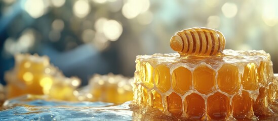Poster - Dipper and sweet honey close up Room for text. with copy space image. Place for adding text or design