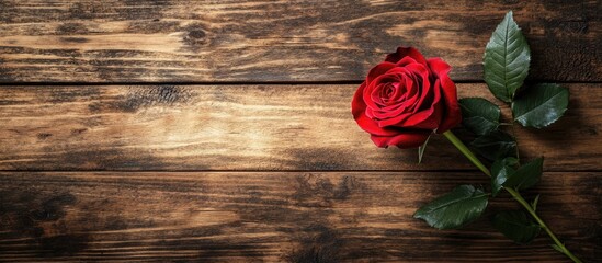 Poster - Red rose flower with copyspace on a wooden background Valentine s Day theme