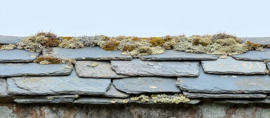 Aufkleber - Close up of an aged slate roof adorned with dry moss and lichen on a clay wall Copy space shallow depth