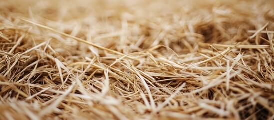Fototapete - Close up of dry straw Background or texture. with copy space image. Place for adding text or design
