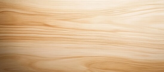 Leinwandbilder - Beige wood texture horizontal view close up. with copy space image. Place for adding text or design