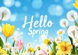 © VeronA - A blue background featuring a 'Hello Spring' banner within a circular frame adorned with different flowers