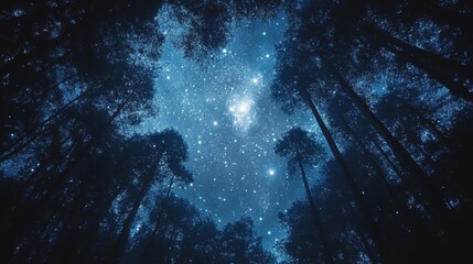 Wall Mural - a starry night sky through a canopy of trees