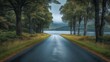 © olegganko - Serene road lined with trees leading to a calm lake in a cloudy setting
