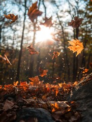 Aufkleber - Colorful autumn leaves gracefully falling in a tranquil forest at sunset. Generative AI