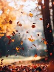 Aufkleber - Autumn leaves gently fall in a serene forest landscape during a sunlit afternoon. Generative AI
