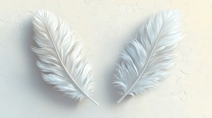 Wall Mural - Two pristine white feathers arranged on a light textured background.