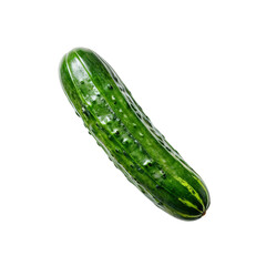 Fresh Green Cucumber: A vibrant, single cucumber, showcasing its rich green color and bumpy texture. Perfect for culinary, health, and freshness themes. 