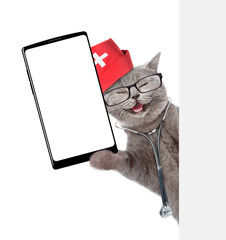 Aufkleber - Happy cat wearing like a doctor with stethoscope on his neck showing big smartphone with white blank screen in it paw from behind blank white banner. Empty space for text. isolated on white background