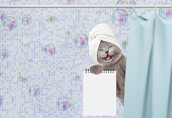 Fototapete - Laughing cat with towel on it head peeking out from behind the curtain in the bathroom at home and showing blank notepad. Empty space for text