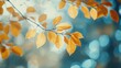 © VRVisionary - Autumn Forest Leaves with Soft Focus Creating a Dreamy Background in Warm Golden Tones