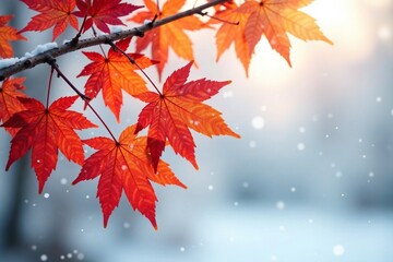 fallen leaves of maple trees on a snowy white background, branch, snow