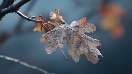 Wall Mural - Autumn leaves with frost showcasing the transition of seasons in nature's serene landscape