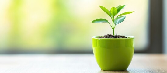 Wall Mural - Small green plant in a bright green pot ideal for enhancing home decor and promoting indoor gardening aesthetics