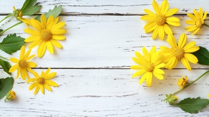 Wall Mural - Yellow crown daisy flowers and leaves arranged artistically on a rustic white wooden background for a fresh nature-inspired design.