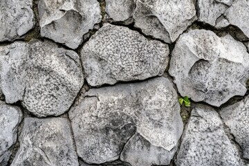 Sticker - A close-up shot of a stone wall with a plant growing out of it, suitable for use in gardening or architecture related contexts