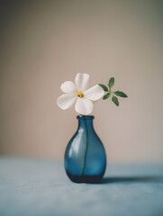 Poster - Blue vase with a white flower in it. The flower is a daisy. The vase is on a table