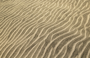  natural sand pattern created by wind blowing differently sized and colored particles
