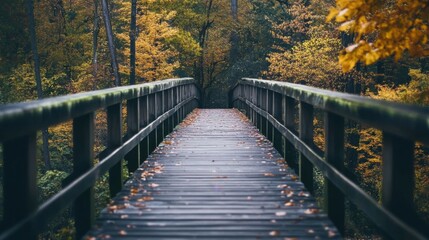Well-designed landing pages increase conversion rates.