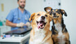 © Nii_Anna - Happy dogs at veterinary clinic, health and care