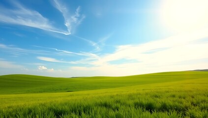 Sunny day, green field, blue sky.