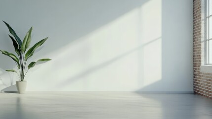 Aufkleber - Sunlight streaming through a window creates shadows on a white wall in an empty room with a potted plant, ideal for showcasing designs or products