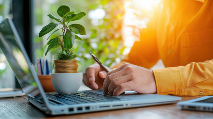 Fototapete - person working on laptop with potted plant on desk, surrounded by greenery and natural light. scene conveys sense of productivity and tranquility