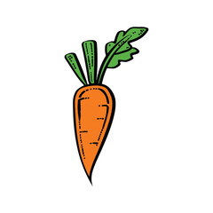 elegant illustration of carrot isolated on white background