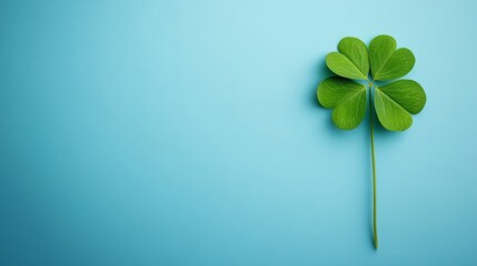 Wall Mural - A Single Four Leaf Clover On Blue Background