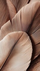 Wall Mural - Beautiful mocha mousse feather patterns create soft textures on light beige background