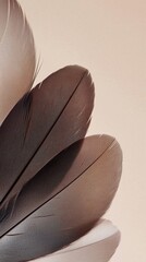 Wall Mural - Beautiful mocha mousse feather patterns create soft textures on light beige background