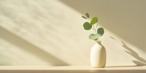 Poster - Minimalism Embraced A Minimalism Aesthetic with a White Vase and Eucalyptus on a Sunlit Wooden Table