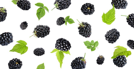 Wall Mural - Fresh blackberries and green leaves in air on white background