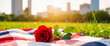 © Vasilina FC - Single red rose on picnic blanket in sunny park, love and relationships