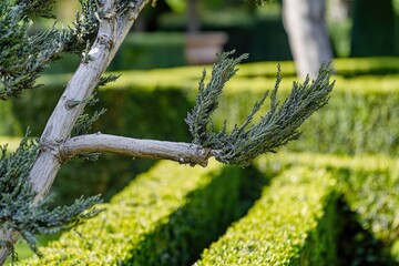 Canvas Print - A bird sitting on a branch in a beautiful garden