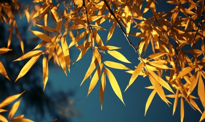 Wall Mural - Golden Bamboo Leaves Glowing Underneath A Night Sky