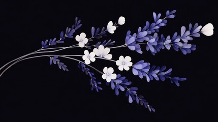 Wall Mural - Elegant blue and white floral arrangement on black background