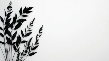 Wall Mural - Minimalist black silhouette of botanical leaves on white background