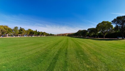 Wall Mural - Expansive green lawn under a vibrant blue sky. Lush trees line the edges, creating a serene park scene.