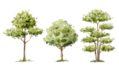 Watercolor set of green trees for logo, invitations and more