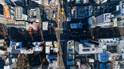 Leinwandbilder - city, aerial view, urban, landscape, scenery, town, street, drone, overhead view, directly above, building, road, society, transportation, traffic, industry, business, automobile, lifestyle, era, mode